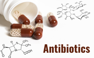 Mengenal Jenis Antibiotik yang Umum Digunakan dan Cara Kerjanya dalam Tubuh